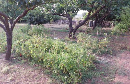 Villa Anna - Foto 11