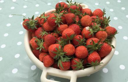 La Tour Hexagonale for 2 with shared pool - Foto 10