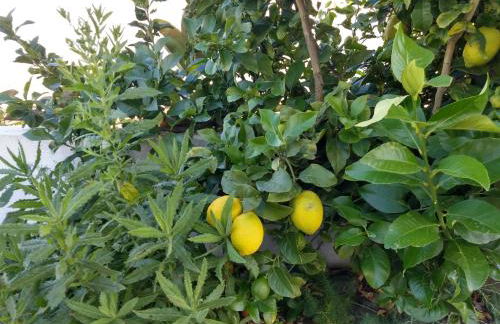 Casa VIVAndalusia Centrally located villa with private pool, breathtaking views by Rentasunnyplace - Foto 19