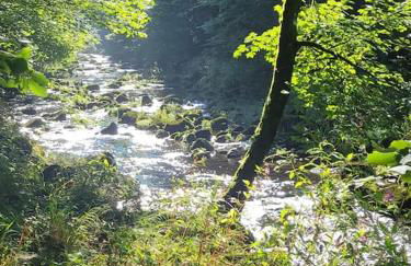 Sonnwies - Erholung pur im Bayerischen Wald - Foto 30