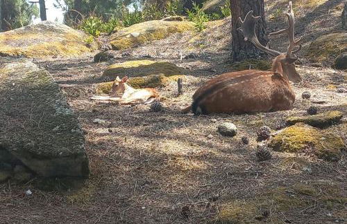 Samorinha House - Foto 16