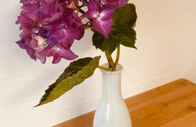 Mar y Montaña - "El Caleyo" - finca privada - Foto 28