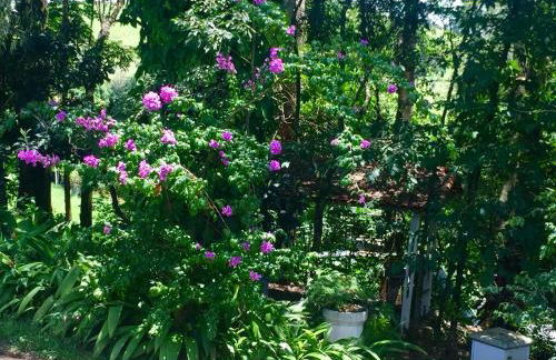 Hotel Fazenda Colina - Foto 79