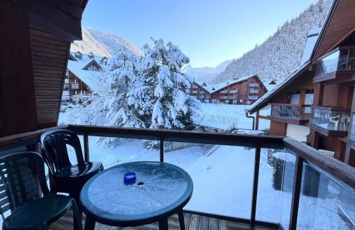 Aux Pieds des pistes en plein soleil - Foto 14