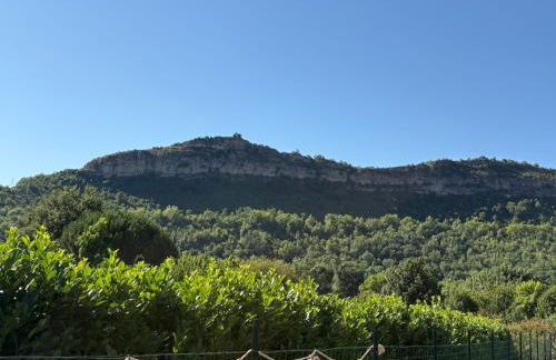 Petit paradis - Foto 11