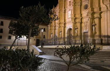La Fonda de la Calle Ancha - Foto 42