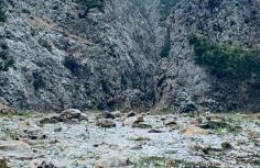 Alojamiento Rural Los Hacheros - Foto 70