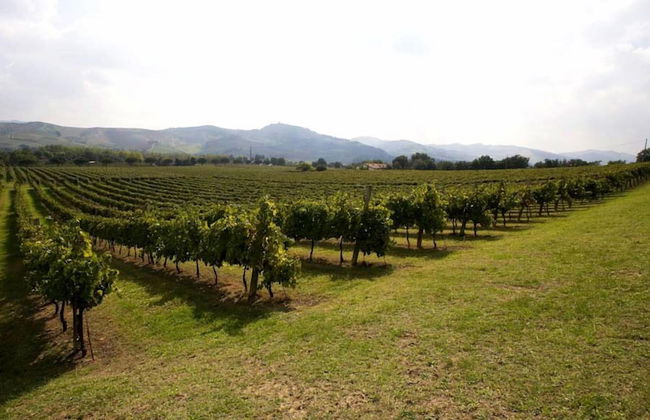 Verdidea - Podere la Casetta - Foto 28