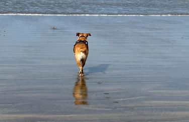 Sea views and stunning sunsets! Fantastic location - Foto 28