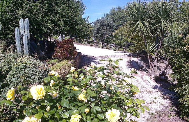 Casa Bi Rosario - Quinta Amoreira - Foto 19