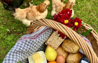 FeWo Versteck am Hug - Foto 14