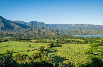 Hanalei Bay Beach Retreat with Waterfall Views - Foto 35