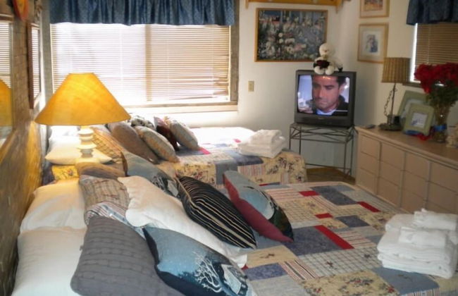 528 Tahoe Keys Blvd - Foto 4