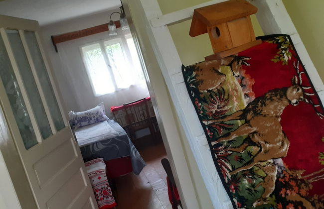 Retreat Holiday in Cozy Traditional House - Photo 21