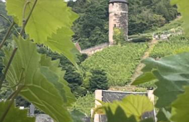 Ferienhaus Moseltürmchen - Foto 26