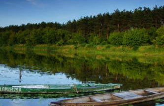 U Wileńskich - Foto 19