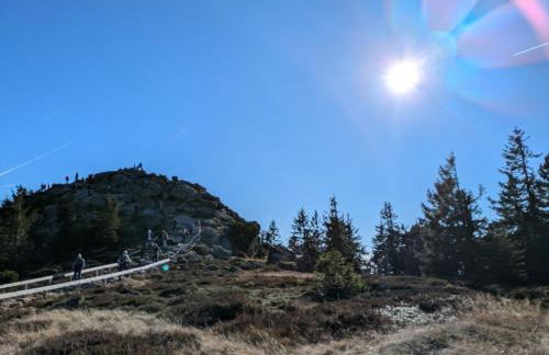 Ponyhof Adam Urlaub auf dem Bauernhof - Foto 79