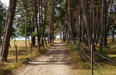 Gîtes de Charme 6 ou 8 personnes en Aubrac chez Sébastien & Stéphanie - Foto 65