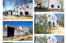 San Antonio 4 vientos - Foto 1