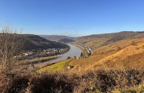 Moselblick im Denkmal - Foto 7