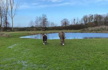 Villenouan domaine et gites - Photo 23