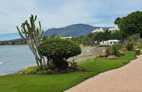 Hello Cosmo - Photo 33