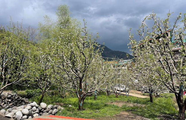 Shubham Cottage - Foto 47