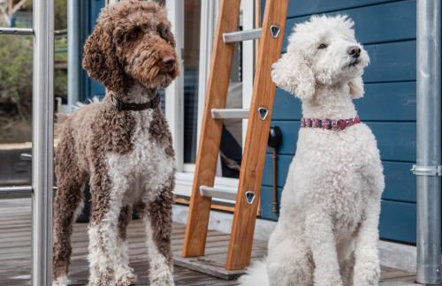 Tolles Tiny-Hausboot Marianne mit Dachterrasse - Foto 22