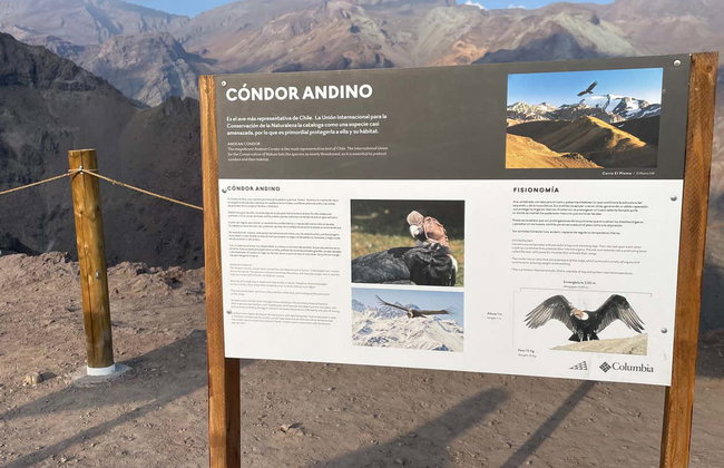 Excursión al Valle Nevado al atardecer - Foto 6