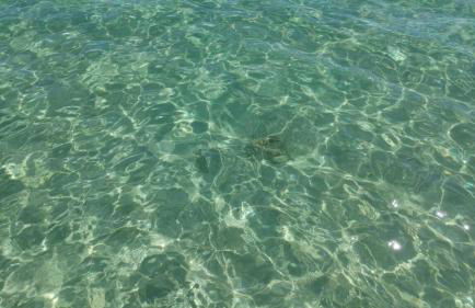 Sweet Home & Apartaments - Foto 35