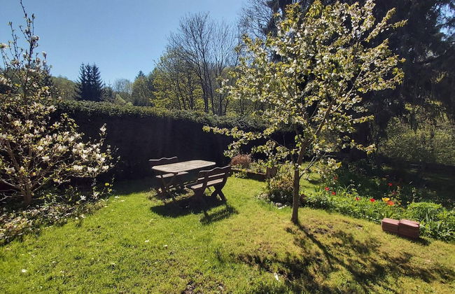 Apartment in Thale by Fishing River - Foto 25