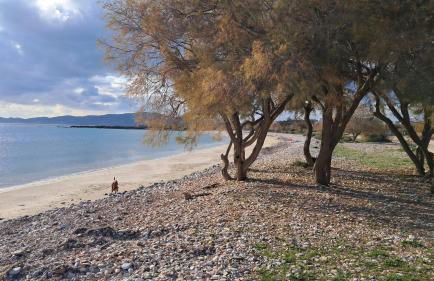 Irene's House in Aliki - Photo 48