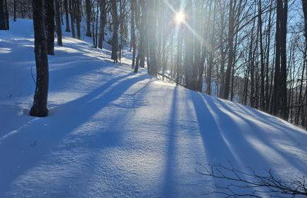 Apartment Barbara - Foto 31