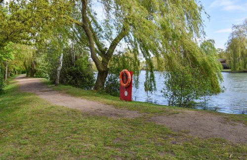 Forest Retreat - Foto 18