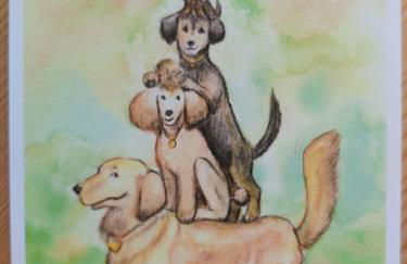 HOME4GOLF Uttlau - Foto 48