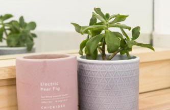 Beach Haven - Foto 21