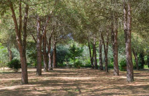 Villa Vignacce - Boutique Country Resort - Photo 44