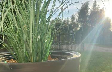 Lazurowy Brzeg - Foto 26