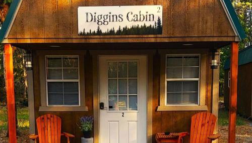 Diggins Cabin 2 - Foto 1