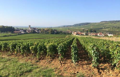 Charmot de Pommard - Foto 15