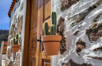 Vivelorural Sol Caldera de Temisas - Photo 38