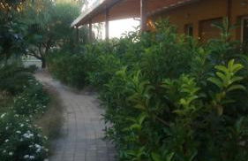 B & B Residence L'Ancora - Foto 30