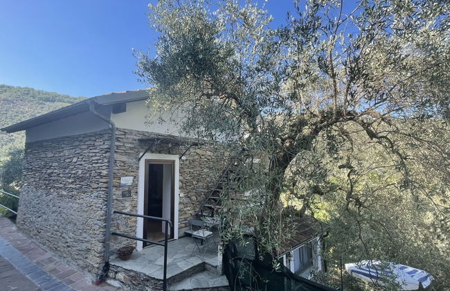 Asplanato (DOL161) - Foto 19