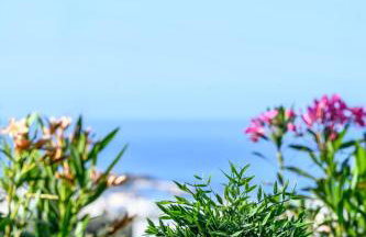 More Crete Village House in Koutouloufari - 6 guests - Pool - Foto 25