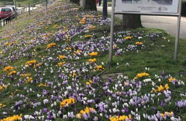 Ferienwohnung Wattlöwe - Photo 43