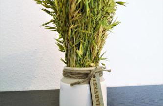 Working & Longstay Apartments DD - Foto 5