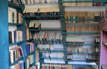 Pod tulipanem nad jeziorem - Foto 6