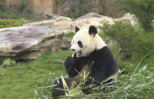 La Maison Bleue - Foto 22