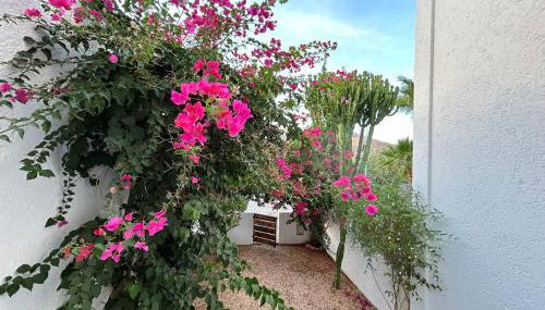 Casa Gata - Foto 1, Garden