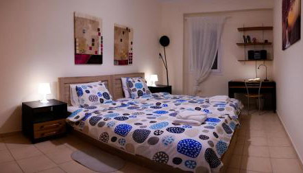 Patras Palm Tree - Foto 5